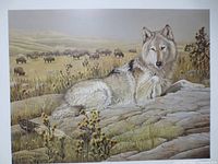 Full view of the Soul Companion print showing wolf and landscape