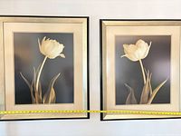 Both framed prints side by side with measuring tape visible