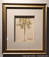 Full view of framed Carica Papaya print