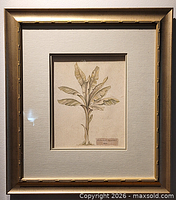 Front view of framed botanical print