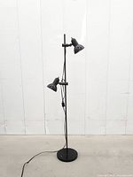 Full view of black metal floor lamp showing two adjustable spotlight heads, cord, and base