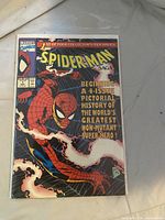 Front cover of Spider-Man Saga #1 in sleeve