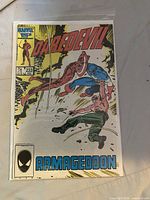 Issue 233 cover in bag and board