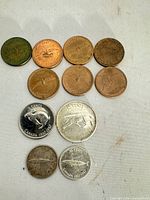 Group of all coins laid out showing counts and types