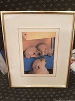 Front view of framed puppy print showing image, mat, and frame