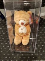 Front view of Hope the Praying Bear inside acrylic case