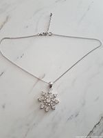 Full view of necklace with pendant and extender