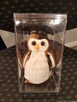 Front view of Wise the Owl Beanie Baby inside acrylic case