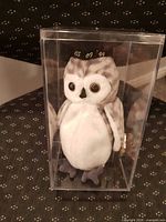 Front view of Wiser the Owl inside acrylic case
