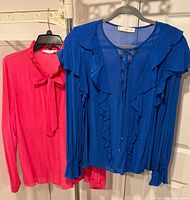 Both blouses displayed on hangers
