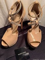 Full view of both sandals showing color, style, dust bag, booklet