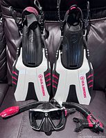 Full set showing fins, mask, snorkel