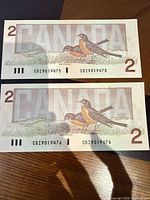 Reverse side showing American robins and serials