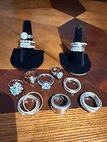 All fifteen sterling silver rings displayed on tabletop and two velvet holders