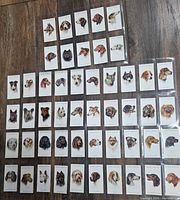 Full view of all 50 Players Cigarettes dog cards laid out