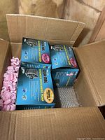 Three sealed pump boxes inside shipping carton with packing material