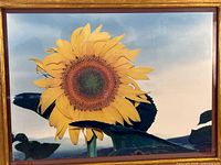 Full view of framed sunflower image