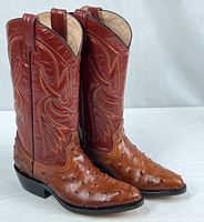 Full view of both boots showing wine shafts, brown ostrich-style vamps and overall condition