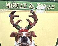 Box artwork showing product name and bulldog image