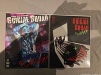 Both variant cover comics side by side bagged and boarded