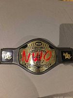 Full view of belt laid flat showing plates and strap