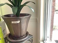 Full view of ceramic planter on saucer