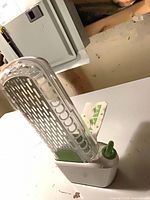 Keeper standing upright showing clear perforated basket, white base, green spout