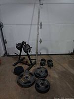 Overall view of barbell, weight tree, plates and dumbbells