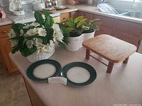 All items together on countertop: two artificial plant arrangements, wooden plant stand, pair of china plates