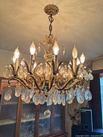 Full view of chandelier hanging from ceiling showing arms, candles, crystals and canopy