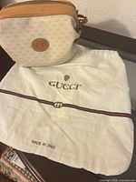 Full view of Gucci crossbody bag resting on included dust bag