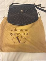 Front view of bag on dust bag