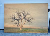 Front view of tree photograph on plywood