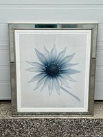 Framed limited edition daisy print by Philip Gendreau numbered 26/295 in antiqued silver frame