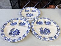 All three blue and white divided plates displayed