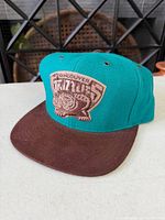 Front of hat showing logo and colors