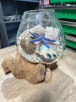 Full view of glass bowl on driftwood with shells, starfish and glass orb visible
