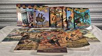 All 16 books displayed upright and laid out, showing series branding