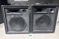 Front view of both wedge monitors showing drivers, horns, tweeters, grilles