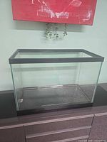 Front angled view of glass aquarium showing black trim and clear panels