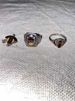 Overview of two class rings and brooch on fabric background
