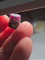 Rough ruby crystal held between fingers showing size and color