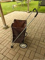 Full view of shopping buggy showing frame, bag and handle