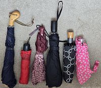 Six collapsed umbrellas laid out on carpet
