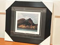 Full view of framed lithograph with protective corners