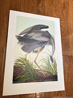 Full view of the Great Blue Heron lithograph