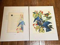 Both lithograph sheets side by side showing illustration and text page
