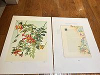 Both lithograph and biography sheet laid side-by-side on floor, showing overall size and pair of items