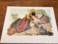 Full view of Ruffed Grouse lithograph print