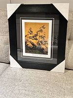 Full view of framed Tom Thomson lithograph with corner protectors